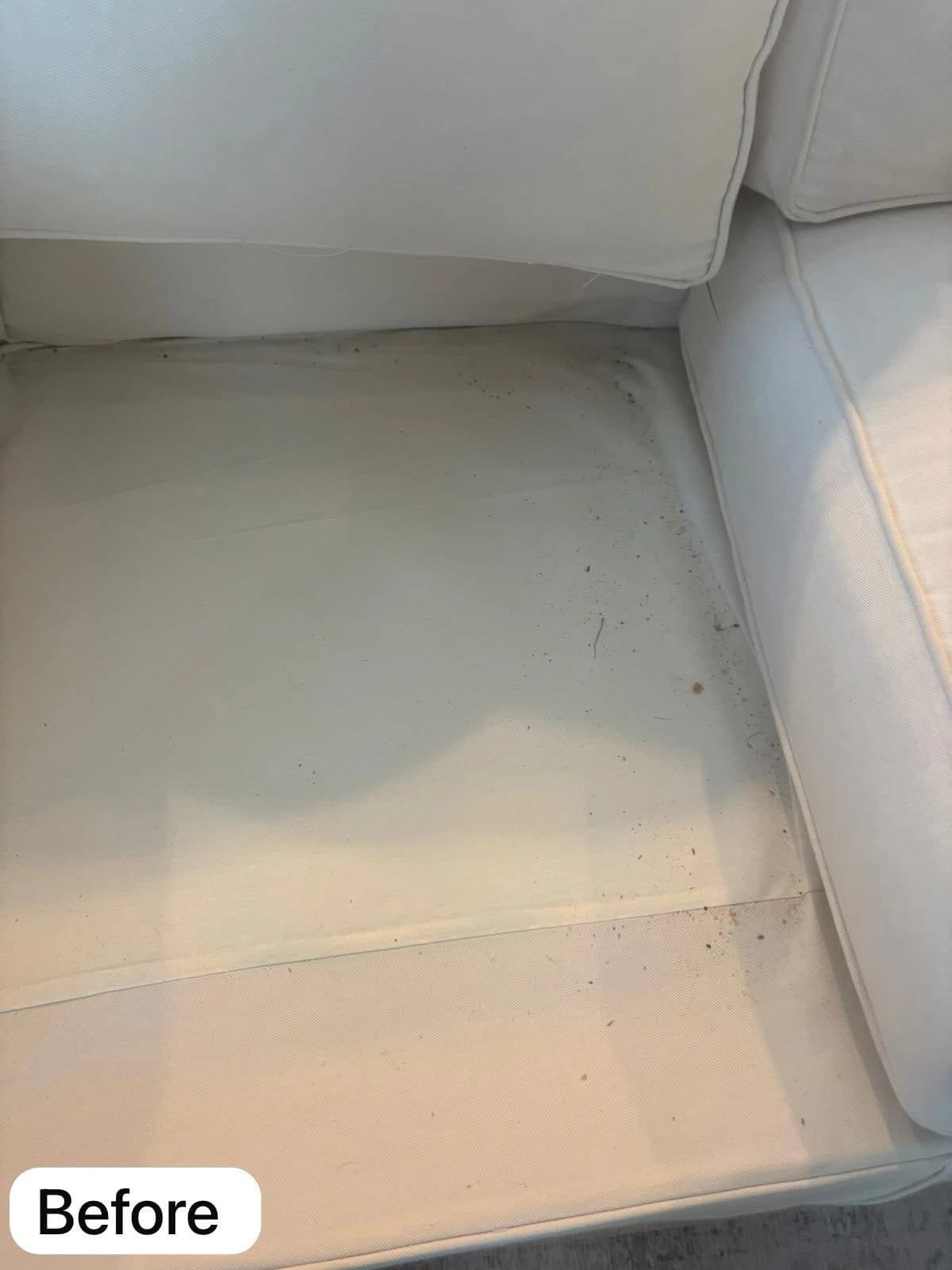 Upholstery deep clean — before cleaning